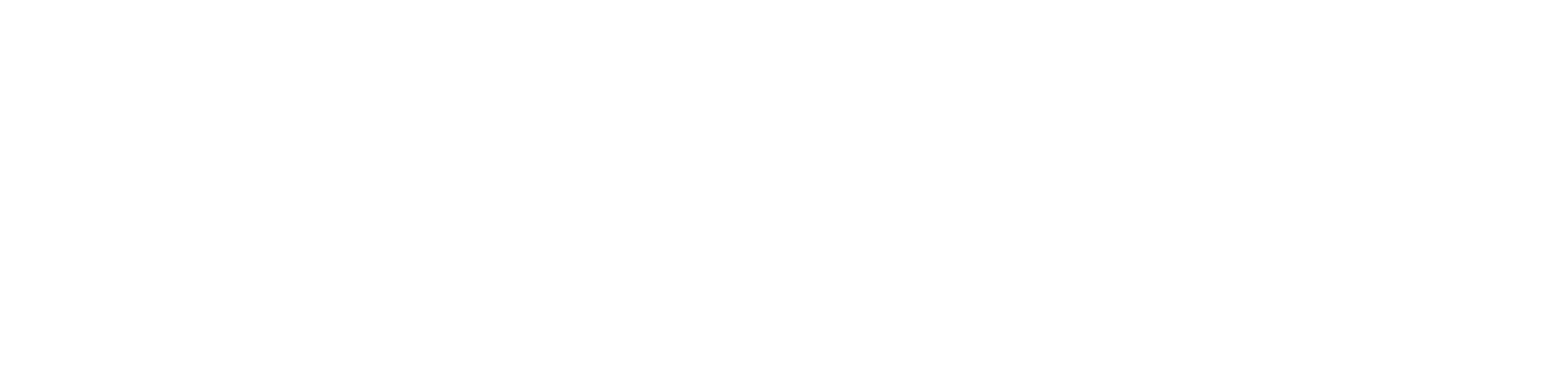 AL FAROOQ STAR TRADING LLC Logo
