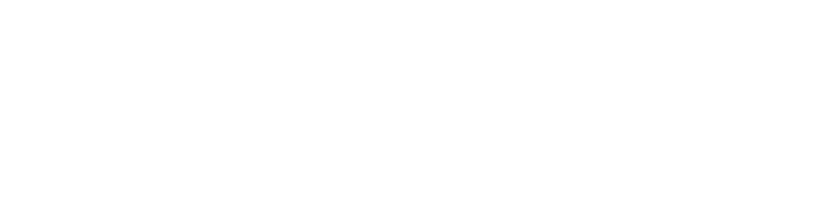 Faruz Technologies Pte Ltd Logo